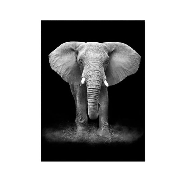 The Elephent Greyed In A Black Back Ground A1 Printed Wall Canvas