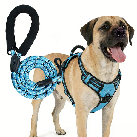 Reflective Vest Style Pet Harness Set Adjustable Comfortable Soft Image