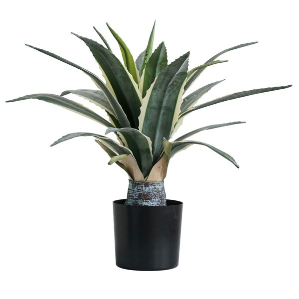 HouzeComfort Agave Succulent Artificial Plant