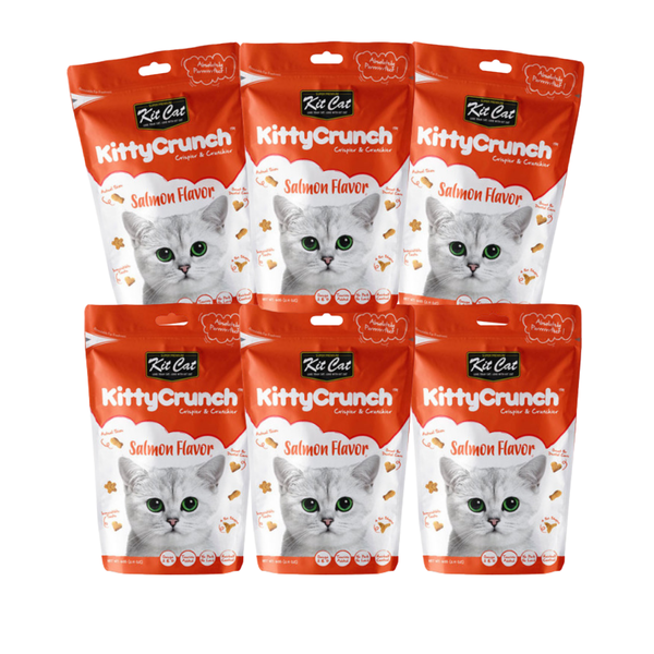 KittyCrunch Salmon Flavour (6 x 60g)