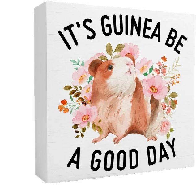 Guinea Pigs Decor Wooden Box Sign, Funny Desk Decor, Guinea Lover Gifts