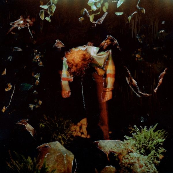 Worm Food (CD / Album)