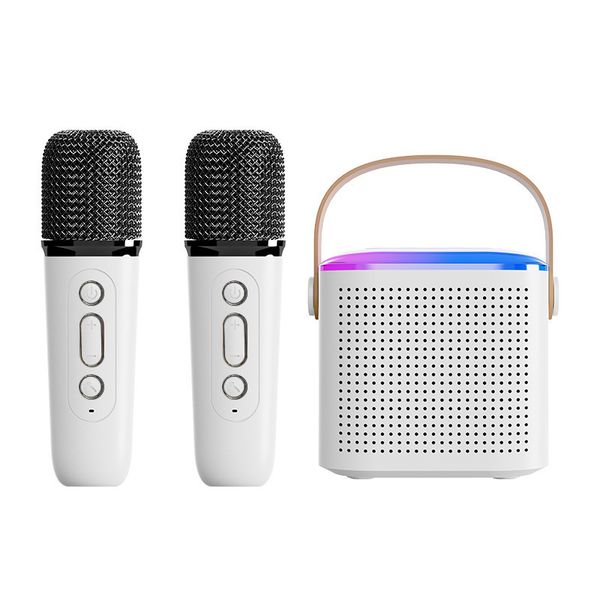 Y1 portable outdoor home karaoke dual microphone singing small speaker