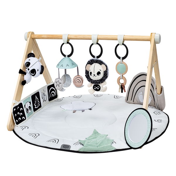 Tiny Love - Black &amp; White Luxe Developmental Gymini