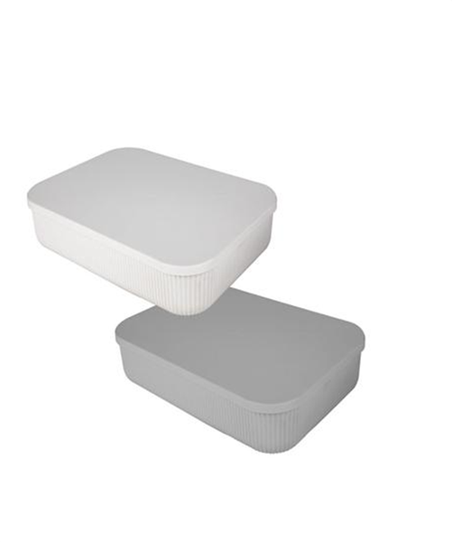 Shell Design Storage Box With Lid 3.2L x 2