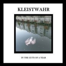 In the Guts of a Year (CD / Album)