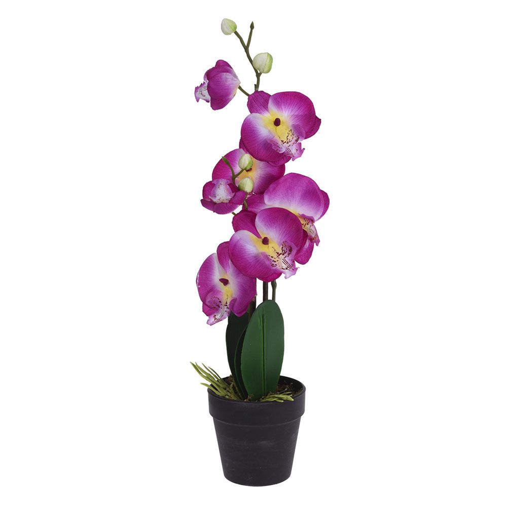 Realistische Kunstmatige Orchidee Planten Volledig Gepot
