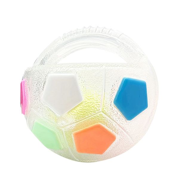 Durable TPR Dog Toy Ball for Interactive Play, Teeth Grinding, and Training