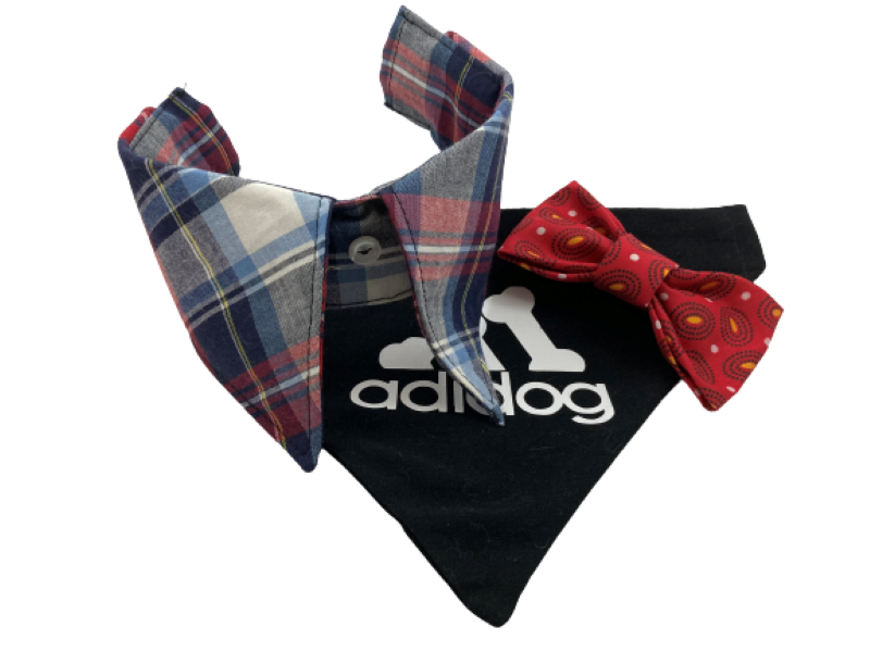 Addidog Accessories - Pet collar