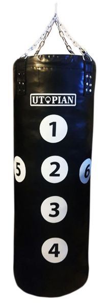 Precision Hit Punching Bag