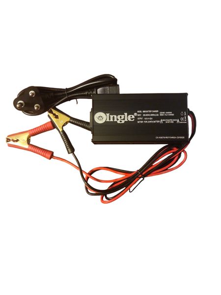 Ingle Lithium LiFeP04 Battery Charger