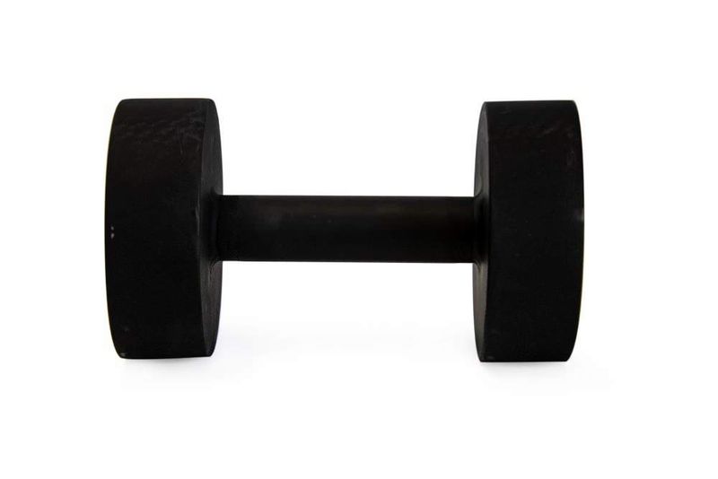 Fine Health Raw Dumbbell - 2.5kg