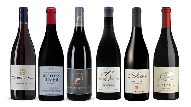 Mixed Case - Hemel en Aarde Pinot Noir Collection (Paisley Bear)