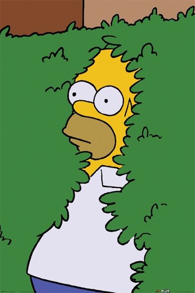 The Simpsons - Homer Poster