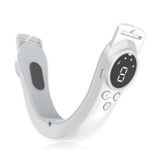 2-in-1 Neck &amp; Face Beauty Massager