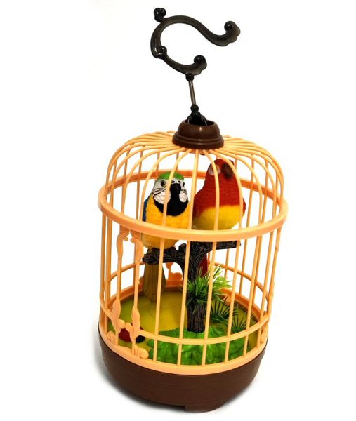 Pamper Hamper - Singing Budgies In A Cage