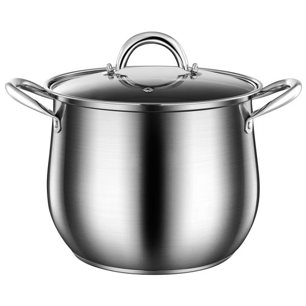 26cm Stainless Steel Stock Pot with Glass Lid