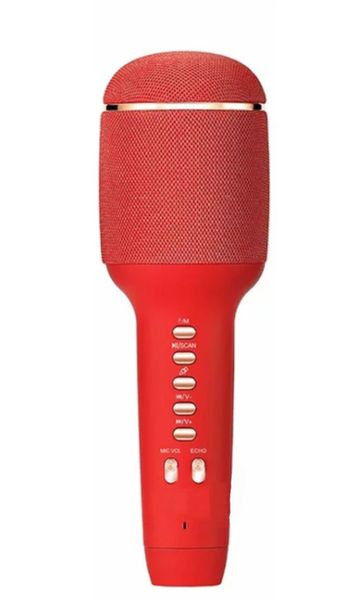 Karaoke Wireless Speaker Microphone