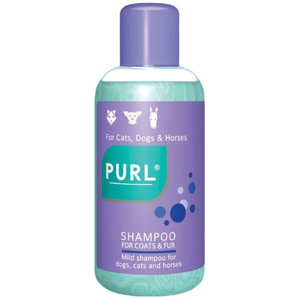 Purl Shampoo Regular 500ml