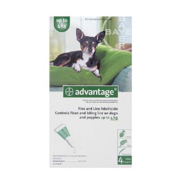 Advantage Small Dogs 4x0.4ml (0-4kg) Green