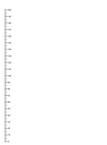 Kids Height Chart Wall Decal