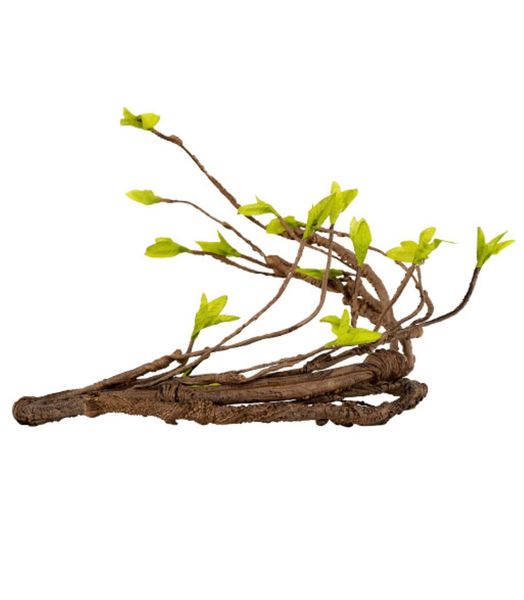REPTIZOO Moss Jungle Vine Multi Branch (1400mm)