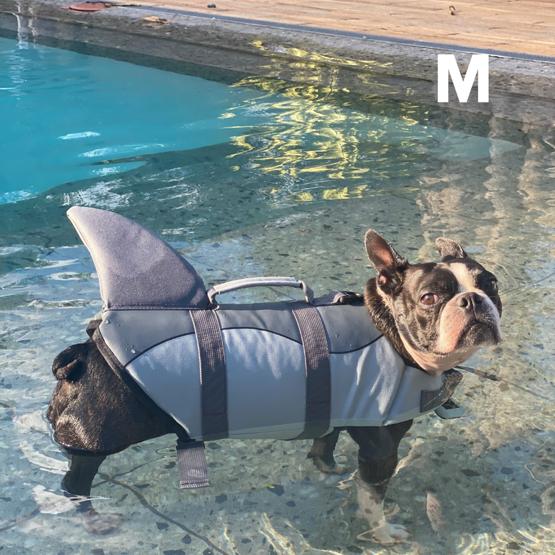 Jacket Shark Fin Best Dog Life Jacket For French Bulldog AOFITEE