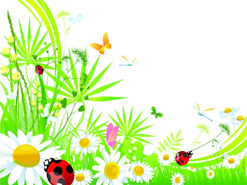 Laptop Skin Protector - Butterflies &amp; Flowers - Vinyl Sticker