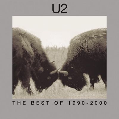 Best of 1990-2000 (Vinyl / 12" Album)