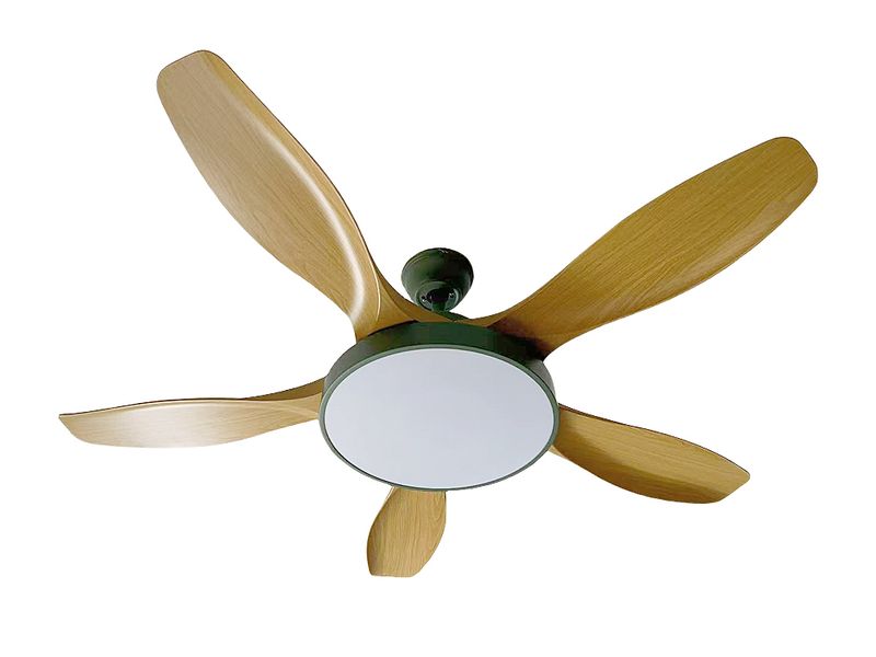 Modern 5-Blade Ceiling Fan with LED Light and Remote Control