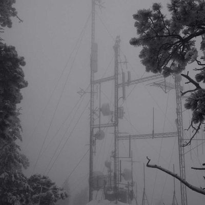 On Hold (Vinyl / 12" Album)