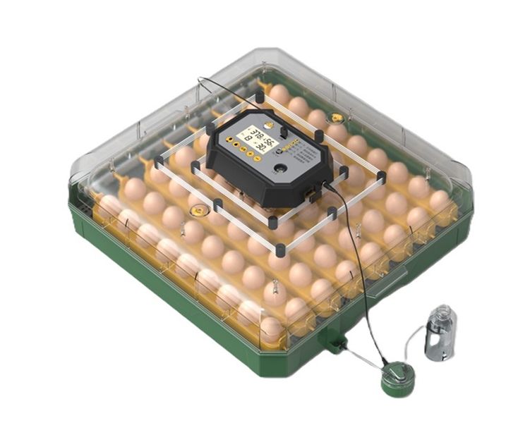 Smart 72 Egg Incubator-Dual Power Series