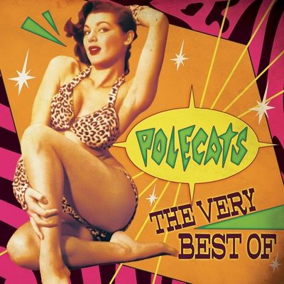 The Very Best of the Polecats (Vinyl / 12" Album)