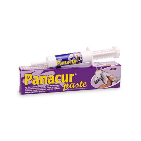 24g - Panacur Oral Dewormer Paste For Horses Up To 600KG By Great Empire