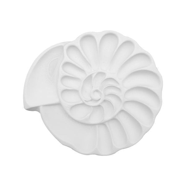 Nautilus Shell Design Art Palette with Multiple Mixing Wells - White