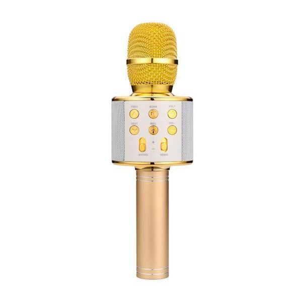 Wireless Portable Bluetooth Karaoke Microphone-Gold