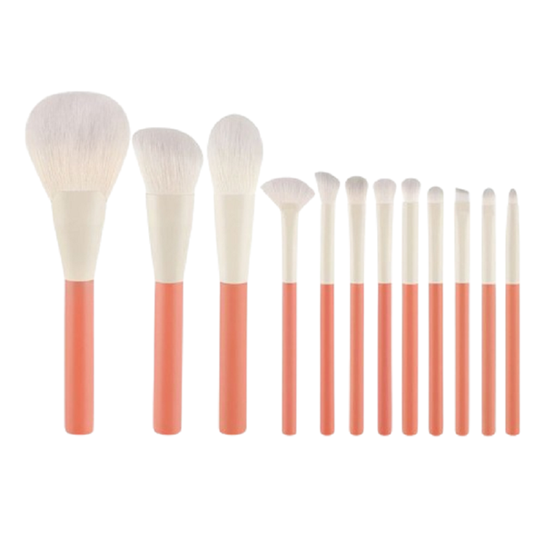 Professional 12 Pieces Makeup Brushes for Daily Home Use for Women