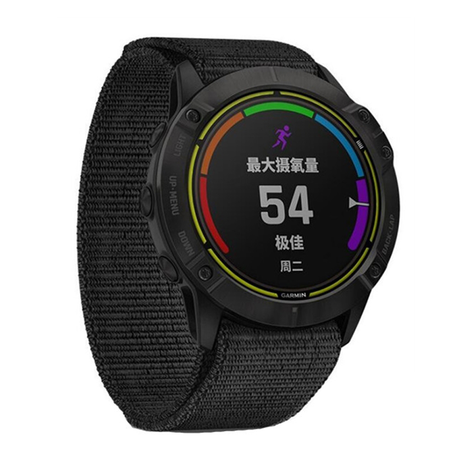 Garmin fenix clearance strap loop