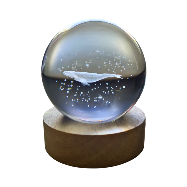 Thumbnail product image - 2