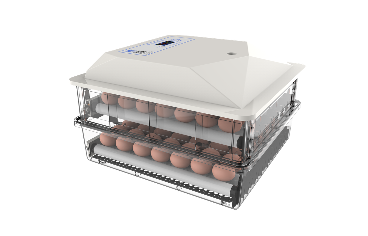 112 Egg Incubator Buy Online in South Africa