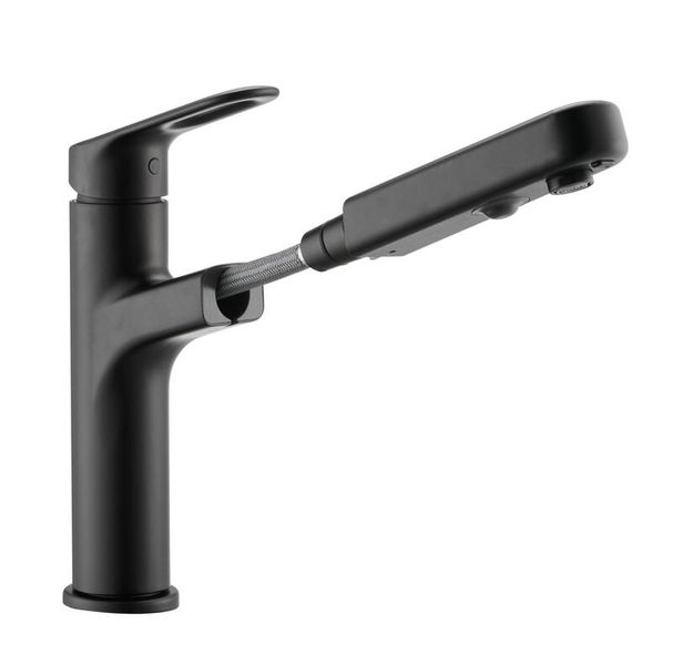 Delinia Icone Pull Out Kitchen Faucet ACS - Black