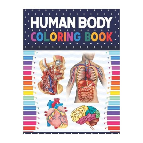Human Body Coloring Book Human Body Anatomy Coloring Book For Boys And Girls And Medical Students Medical Anatomy Coloring Book Human Brain H Buy Online In South Africa Takealot Com