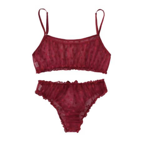 OMG Ultra Sexy Silky Sheer Bra & Panties Set - Maroon Red Desire, Shop  Today. Get it Tomorrow!