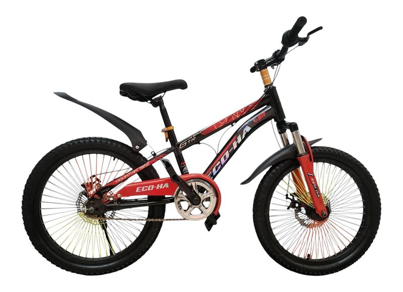 ECO-HA GTR Mountain Bike 20 Inch