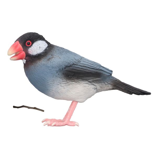 Lifelike Bird Model Exquisite Animal Figure Educational Kids Ornament