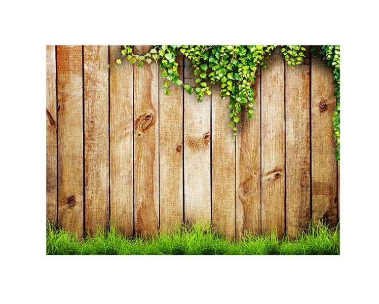 Wood And Grass image