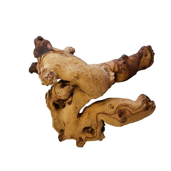 Natural Mopane Root - Straight from the African Bushveld