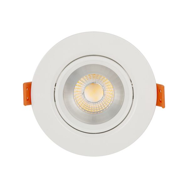 Eurolux - Warm White LED Downlight