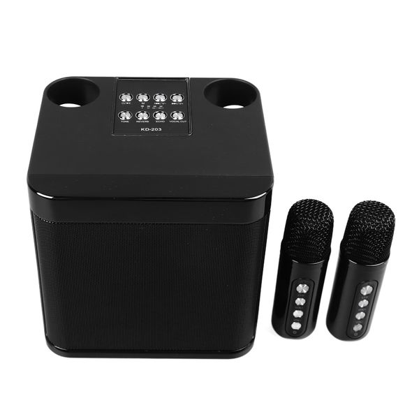 Wireless Karaoke Speaker, 2 Mics, BT