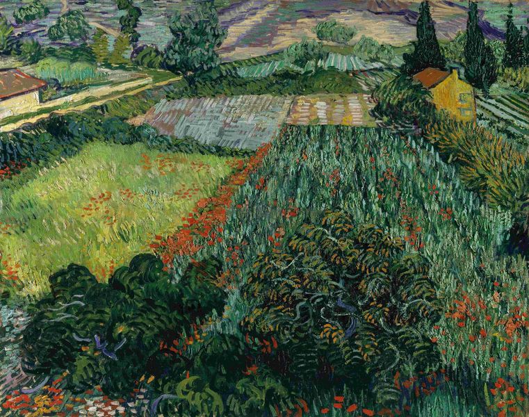 Canvas wall art - Van Gogh 'Field with Poppies